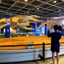 고래박물관 화장실 이미지