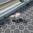 행복을 배우는 공간 이미지