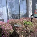 누운하우스 | [내돈내산] 울산 베이비 하우스에서 줄즈 에어2 휴대용 유모차 구매 후기