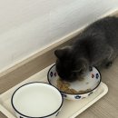 폴리파크 하양점 이미지