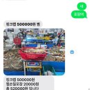 [수원 킹크랩 맛집]킹크랩수율 꽈~악 찬 곳 #대명수산 수원농수산물 예약하는 법 !