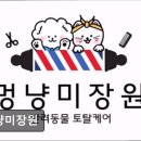 멍냥멍냥 미용실 | (평택, 강아지, 고양이, 애견미용, 추천!) 멍냥미장원 평택 멍냥미장원, 친절한 서비스