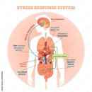 신갈한의원 이미지