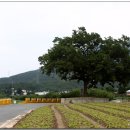 선두구동 주민센터 이미지