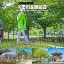 뽕나무인연조형물 | 대구 근교 가볼만한곳 나들이 대구 옥연지 송해공원