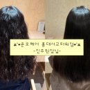 마포-서교-마포-3147 이미지