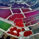 운성목장 이미지