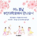 부산대학로 이미지