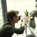 상상고양이 이미지