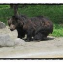 히말라야PC 이미지