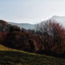 호수풍경속으로 이미지