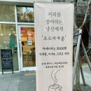 오로라카롱 이미지