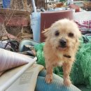 뽀미농장 이미지