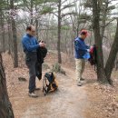 수락초교 이미지