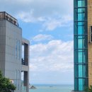 송정코다리 | 송정해수욕장 밥집 아이와 함께 편하게 식사한 송정코다리 후기