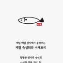 남해물고기