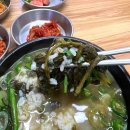 다슬기해장국전문점 | 영화 왕과사는남자 청령포 영월 가볼만한곳 동강다슬기 내돈내산 솔직후기 다슬기 해장국 영월 맛집
