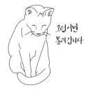 매일도넛 이미지