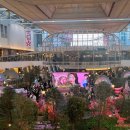 미아금강안경 이미지