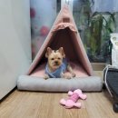 꼬까옷집