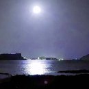 제주 달밤 이미지