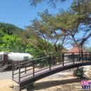 낭만애견 이미지