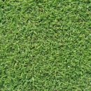 잔디골프아카데미 이미지