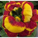 마재농원 이미지