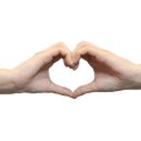 무교동낙지샤브칼국수 이미지