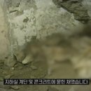 지하실