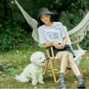 미쏘 - 세종특별자치시 한누리대로 411 | 미쏘