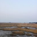 경인아인스 | [새내기를 위한 꿀팁 제1탄] 셔틀버스는 지루하지 않다! 신촌 – 송도 랜드마크 여행기