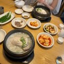 백제삼계탕 | 대구 삼계탕 맛집! 백제삼계탕에서 만난 백제삼계탕 &amp; 능이삼계탕 후기