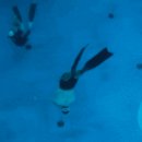 프리다이빙 5주차 후기 | 5m→10m, PADI 자격증, 지출까지 다이빙 기록