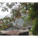 옥이네농장 이미지