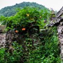 의령 청금정 이미지