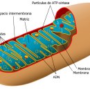 엔도헬스케어 이미지