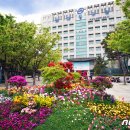 행정용 18 이미지