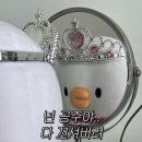 JM휘트니스 | 퇴근 후 운동 어디로 가지 대전 둔산동 제이엠휘트니스 시청점