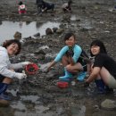 김해동광초등학교 이미지