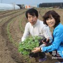 여주농장 - 안양시 만안구 안양로291번길 20 | 여주농장