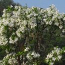 자라마을 이미지