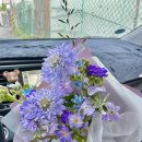 다사랑치킨 조촌점 이미지