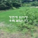 충주시 동량면 텃밭추천 답604평 평당25만 이미지