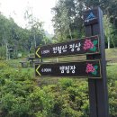 세종동_전월산 무궁화 테마공원 이미지