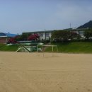 해리초등학교 Daum카페