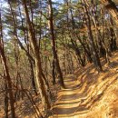 천상고등학교 이미지