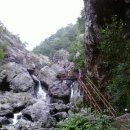 참사랑의원 이미지