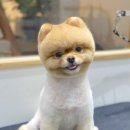 바니이발소 이미지