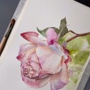 힐링 수채화 이미지